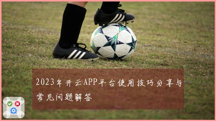2023年开云APP平台使用技巧分享与常见问题解答