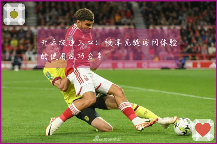 开云极速入口：畅享无缝访问体验的使用技巧分享